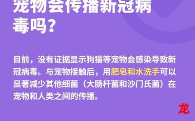 病毒过后以性为主的世界—全文在线阅读