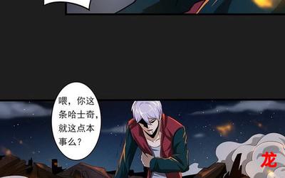 城市猎人第五集完结版&【韩国漫画】-全集免费观看